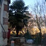 Parisian art deco wardrobe