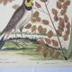 Gravure oiseau, allouette, repro Catesby/Seligmann