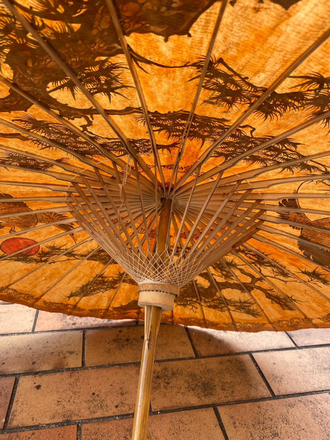 Asian umbrella