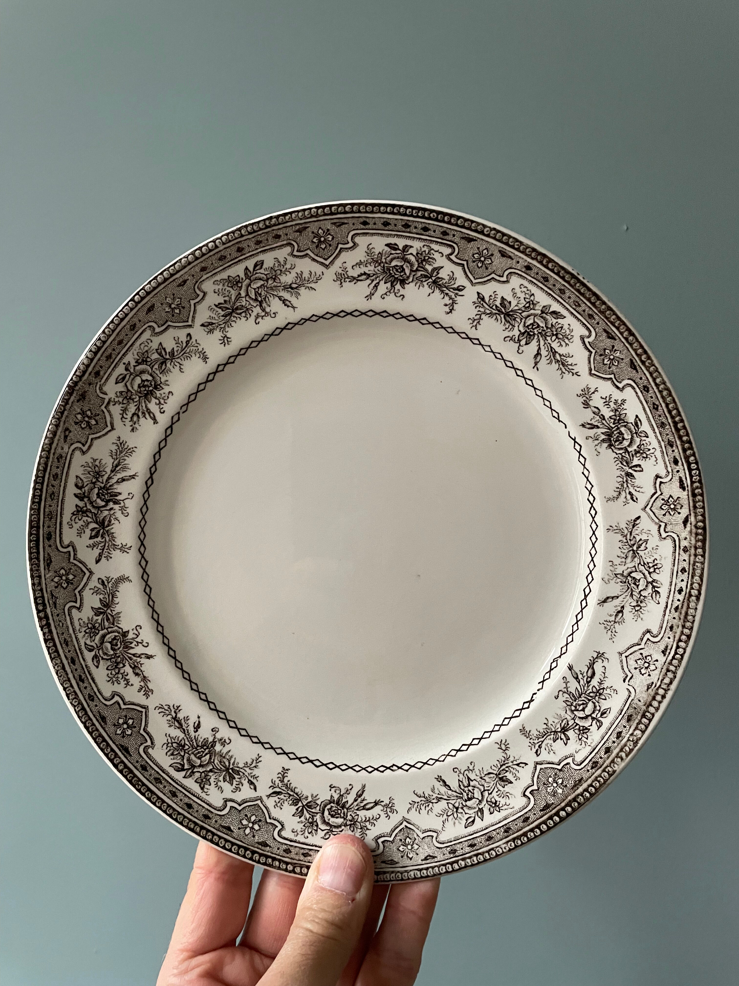 Set of 10 flat plates Terre de Fer Faïence d'Onnaing, model Roses-Mousses