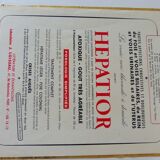 Birds collection No.13 Hepatior