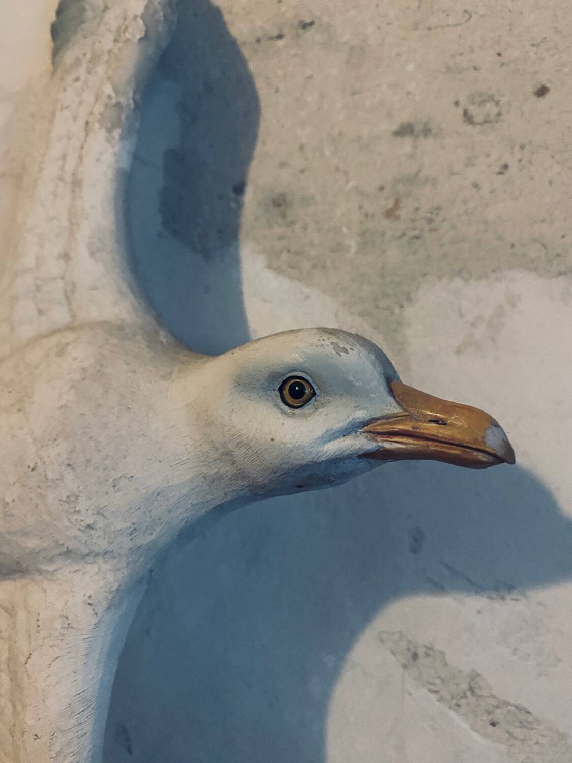 Ancienne mouette à accrocher