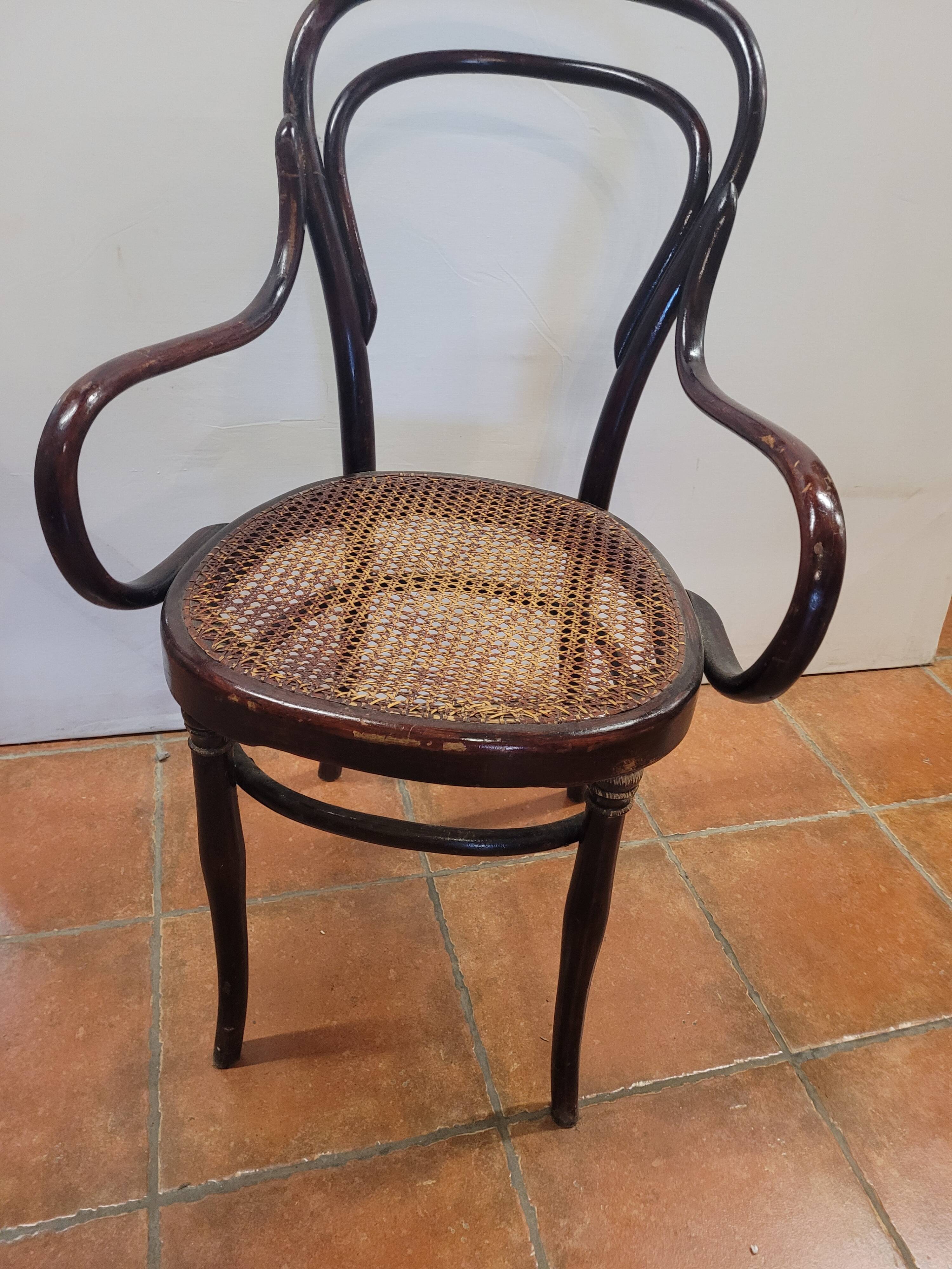 Hoffman bistro armchair in curved wood