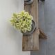 Banc de ferme authentique