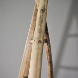 Fir and beech staircase