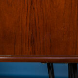 Vintage Rosewood Cabinet, 1960s