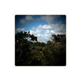 Limited edition art photo. Numbered, dated and signed by the photographer