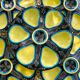 Oyster plates Quimper tableware or wall decoration
