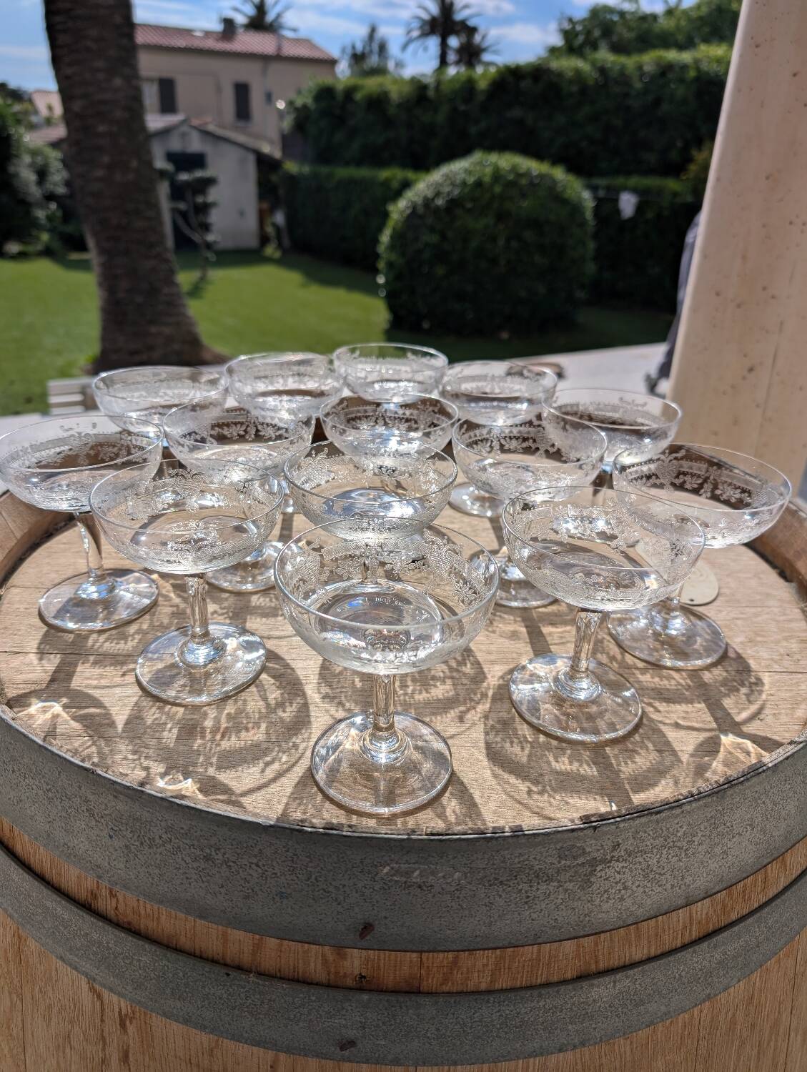 14 antique champagne glasses