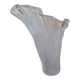 Antique Art Deco glass tulip