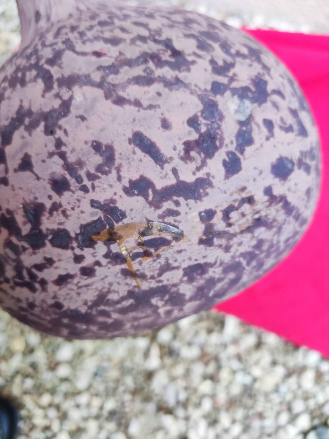 Berluze Vase by André Delatte