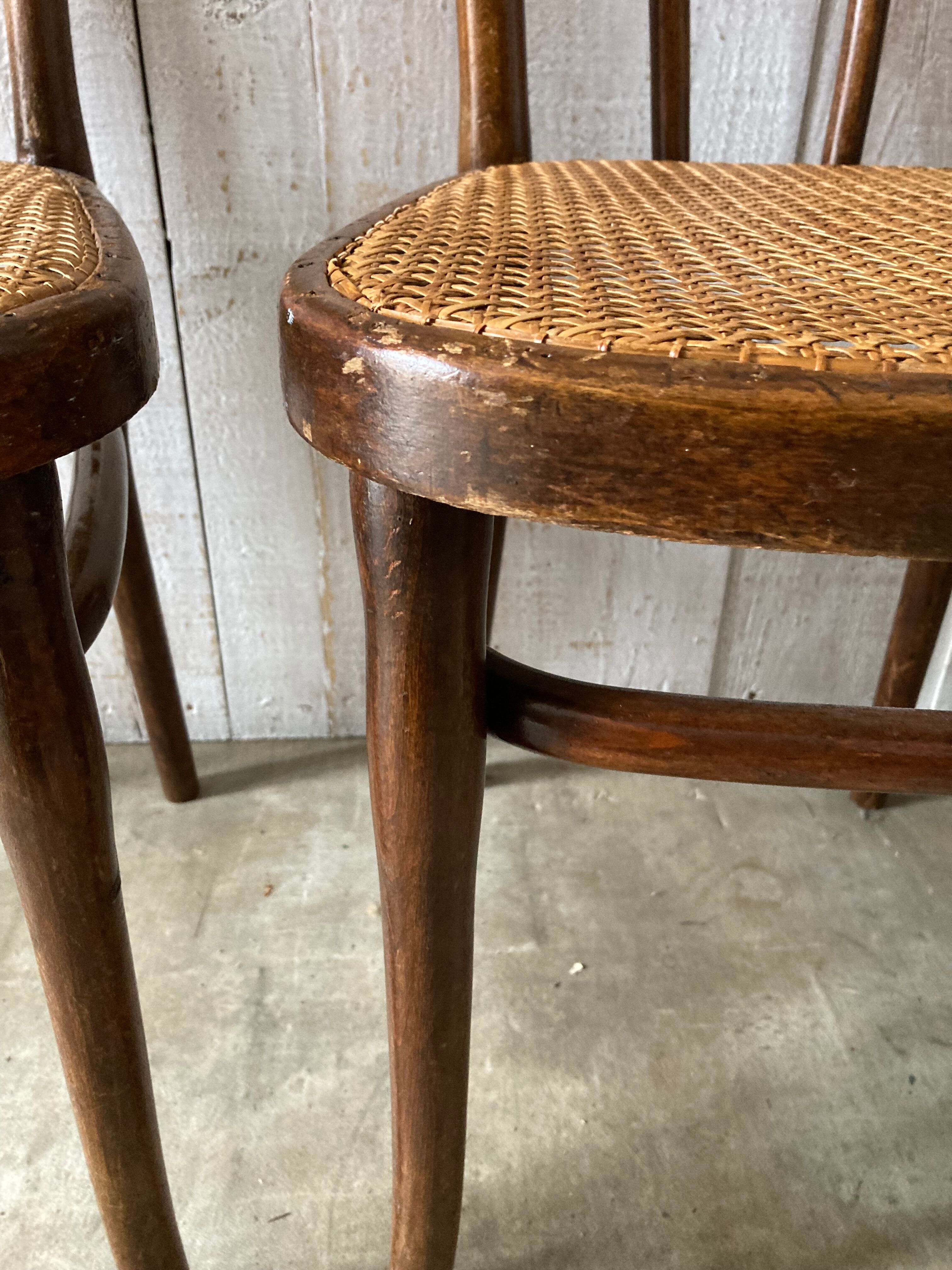 Series of 3 Thonet chairs