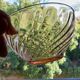 Vintage Rosaline bowls