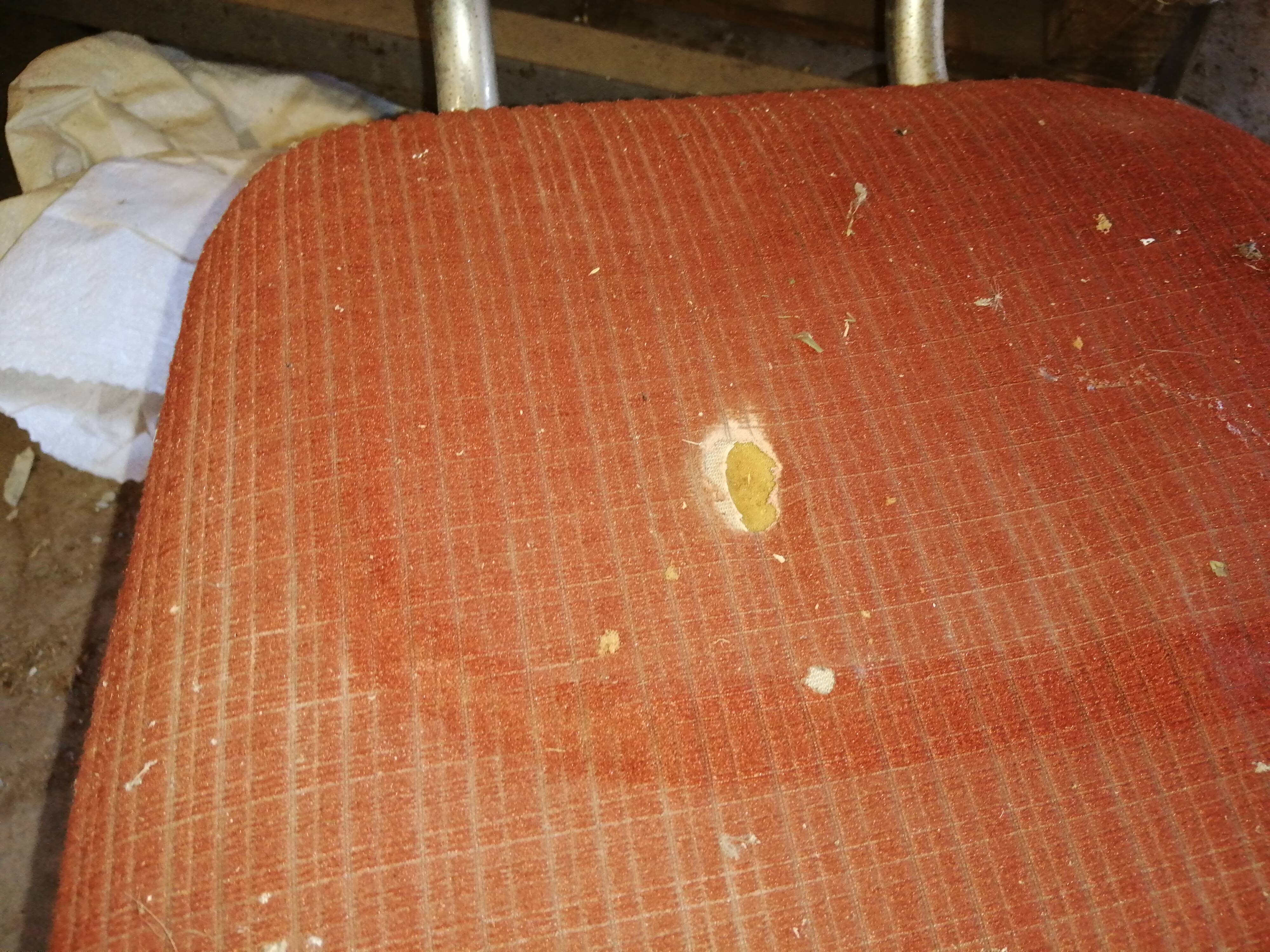 Set of 4 vintage velvet chairs