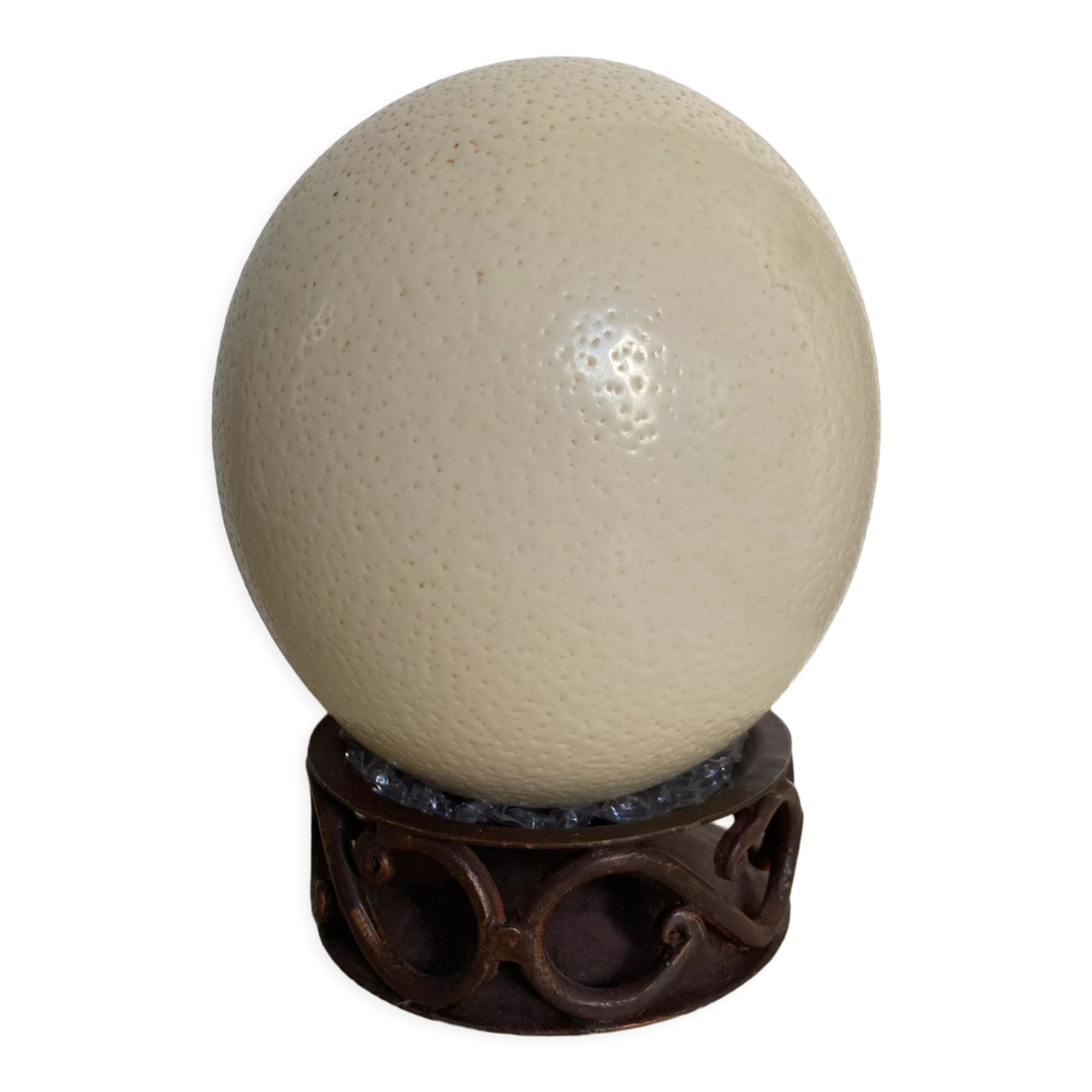 Ostrich egg from South Africa, base