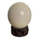 Ostrich egg from South Africa, base