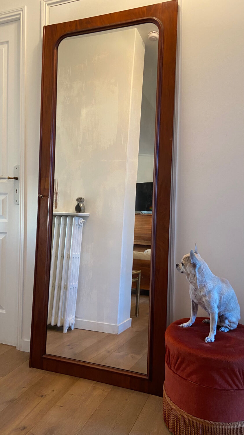 Mirror 1960