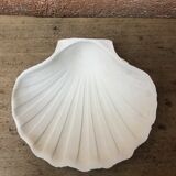 Set of 3 scallops in biscuit