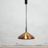 Vintage mount and drop suspension published by Erco