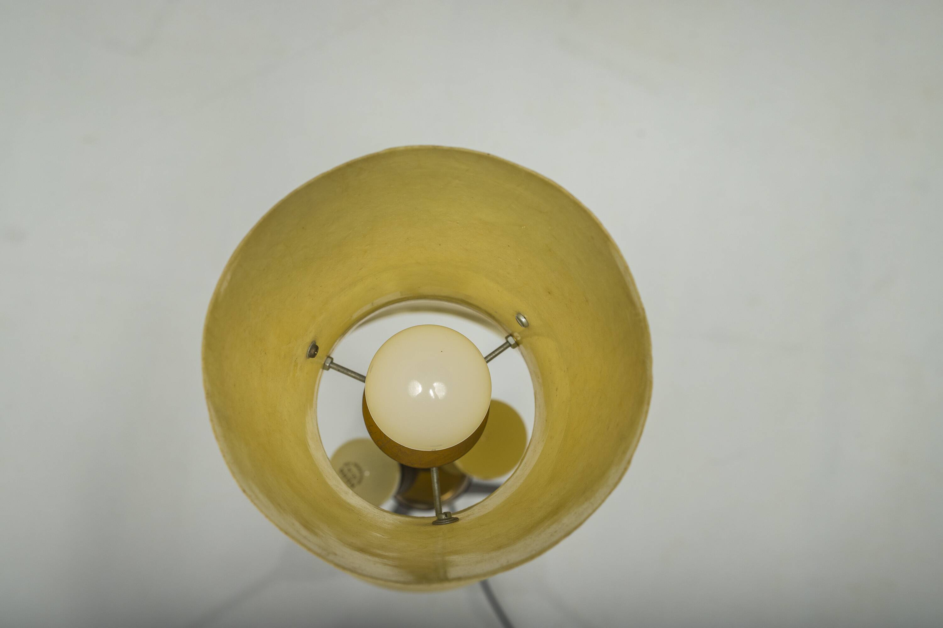 Vintage Floor Filigree Lamp with Fiberglass Shade, Germany, 1950s