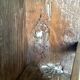Old oak dresser or shelf to place on the ground