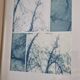 Wall-mounted collage cyanotype photograph