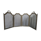 Chimney fire screen