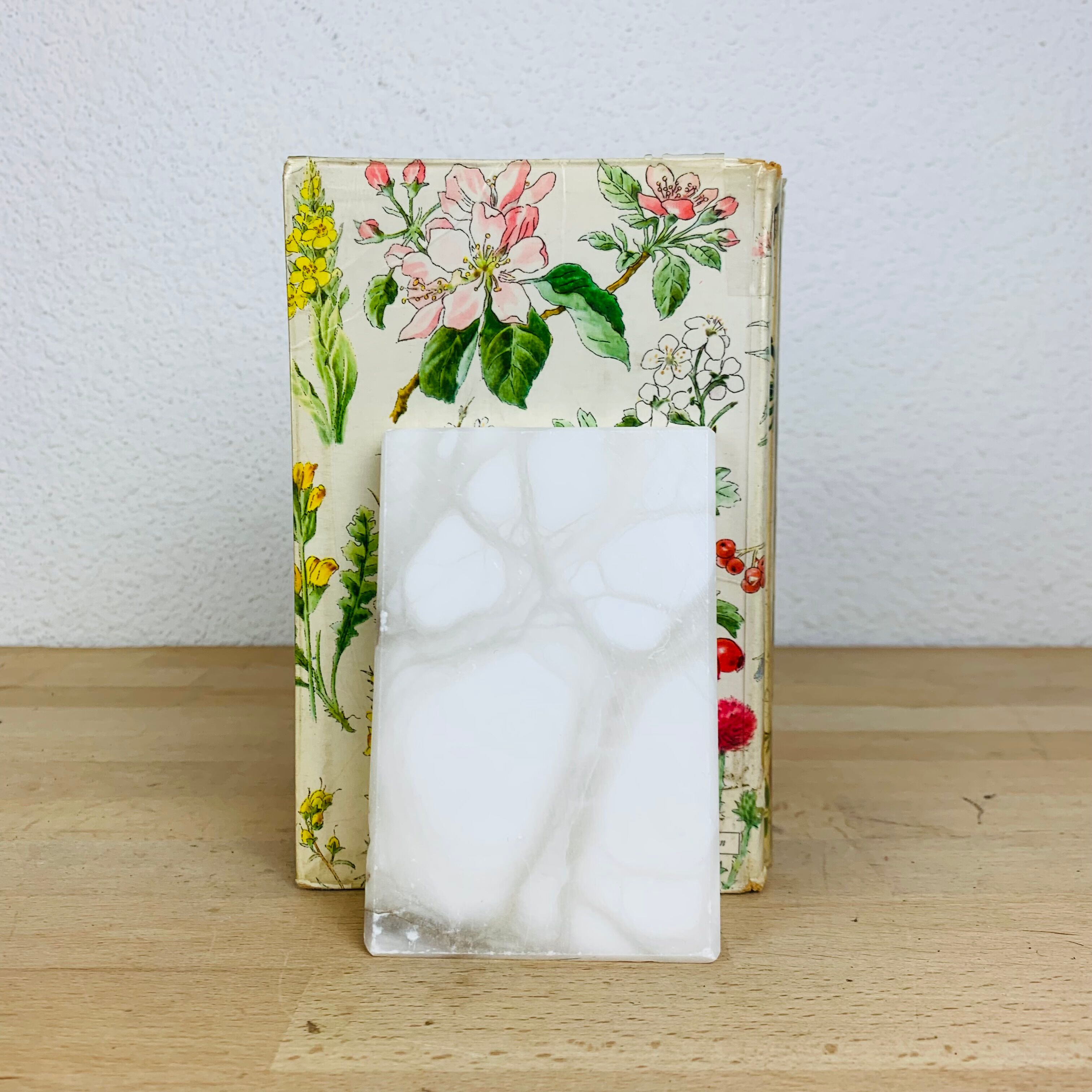 Pair of book greenhouses in alabaster white marble