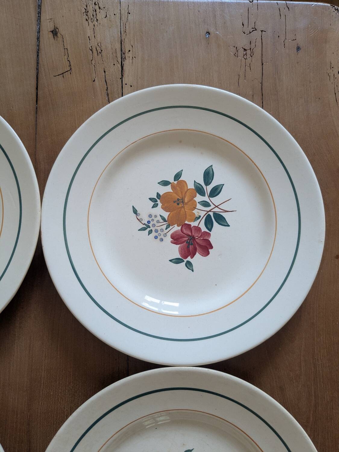 8 Marielle Saint Amand dinner plates