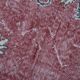 Vintage Persian Brick Red Rug, Hand Knotted Oriental Carpet, 209x325 Cm