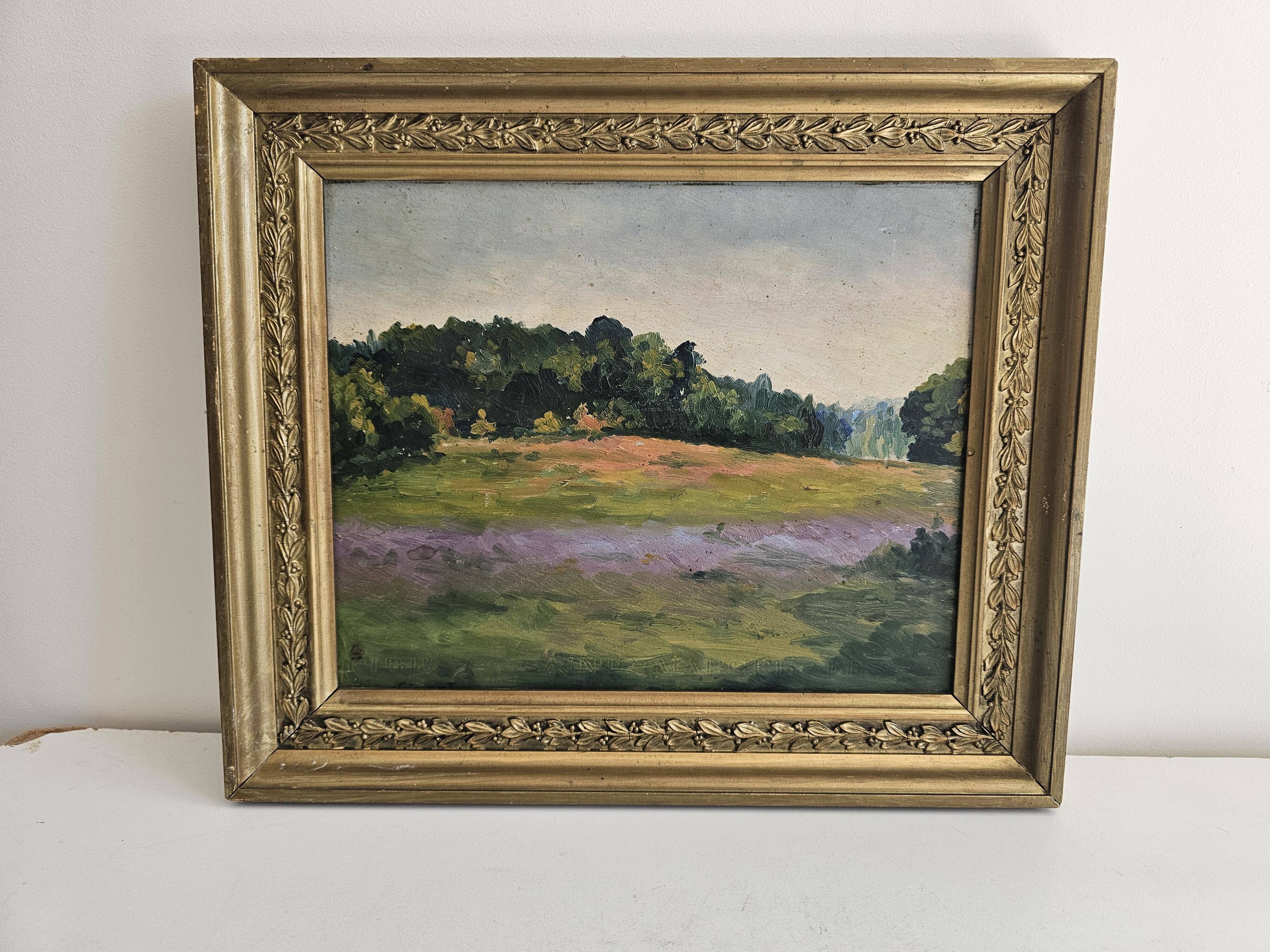 Oil Painting on Cardboard - Landscape of Flowering Hills - Not Signed