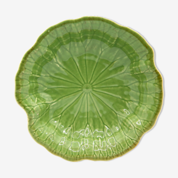 Hollow plate in green slurry like water lily leaf