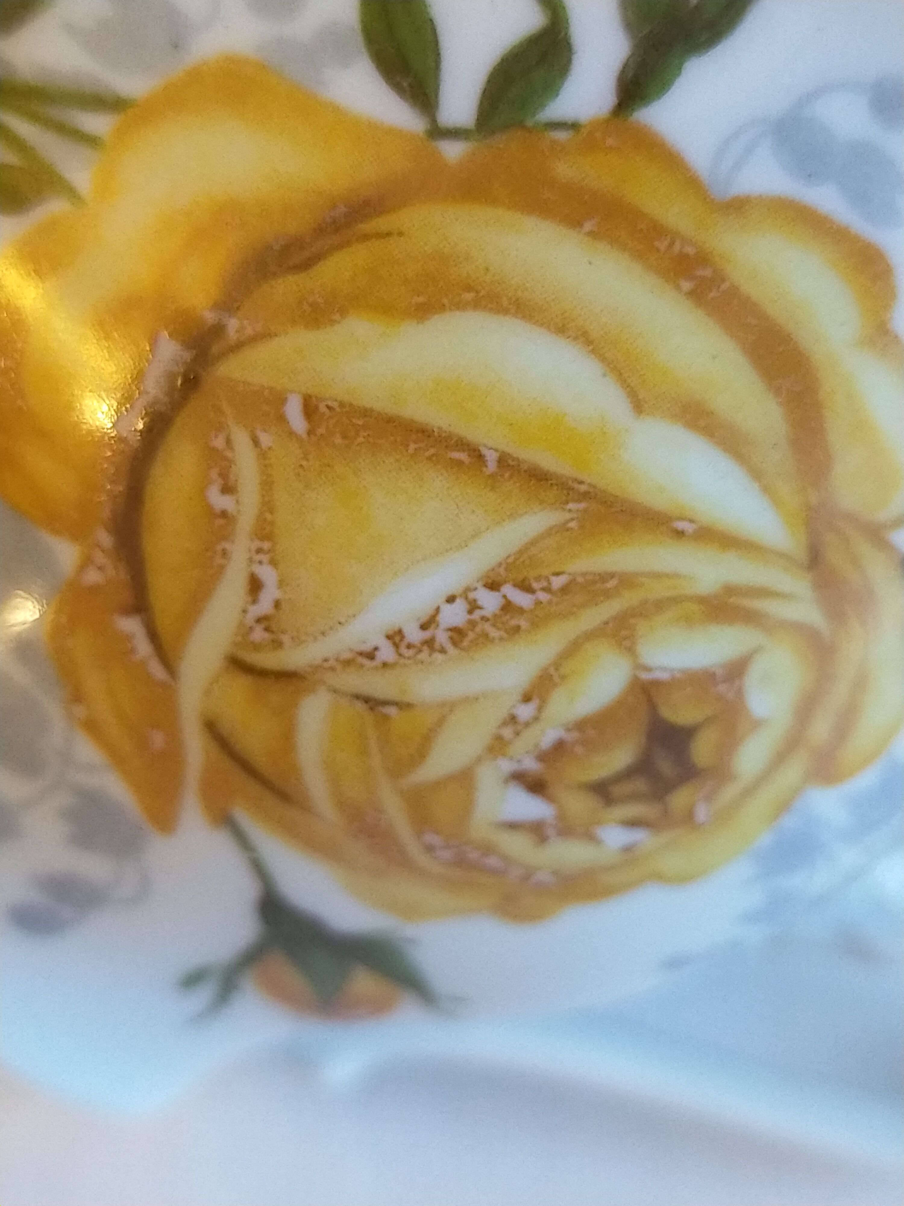 Porcelain cup and under cup