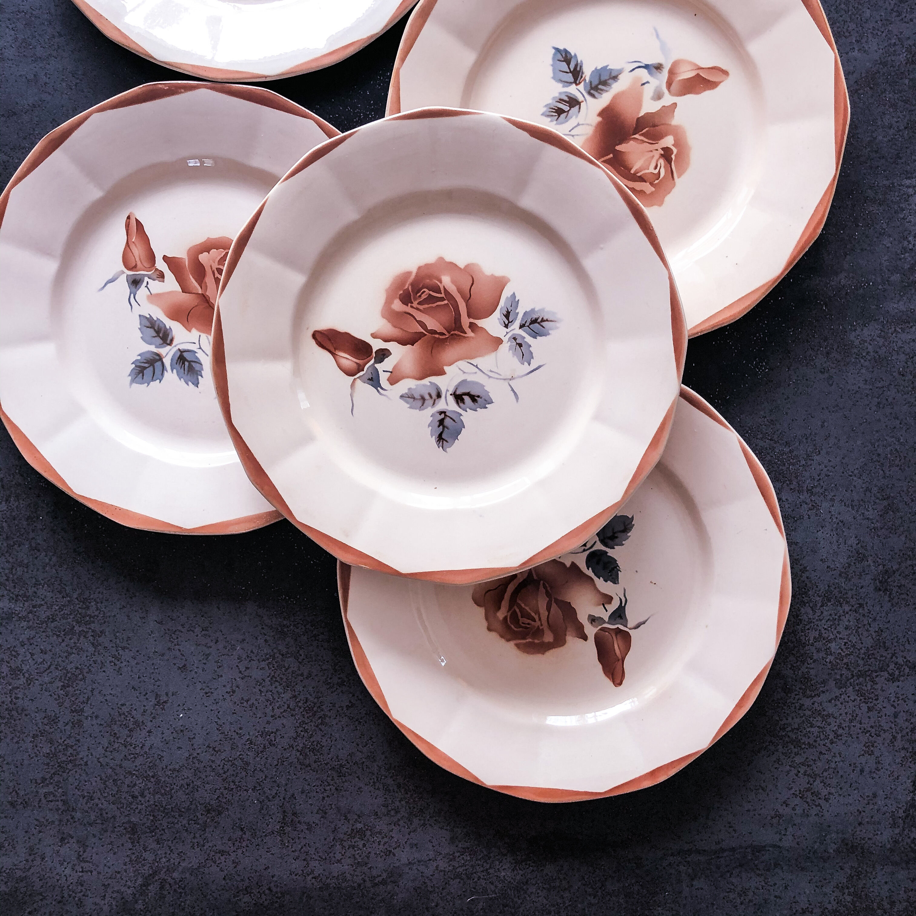 5 flat plates digoin sarreguemines