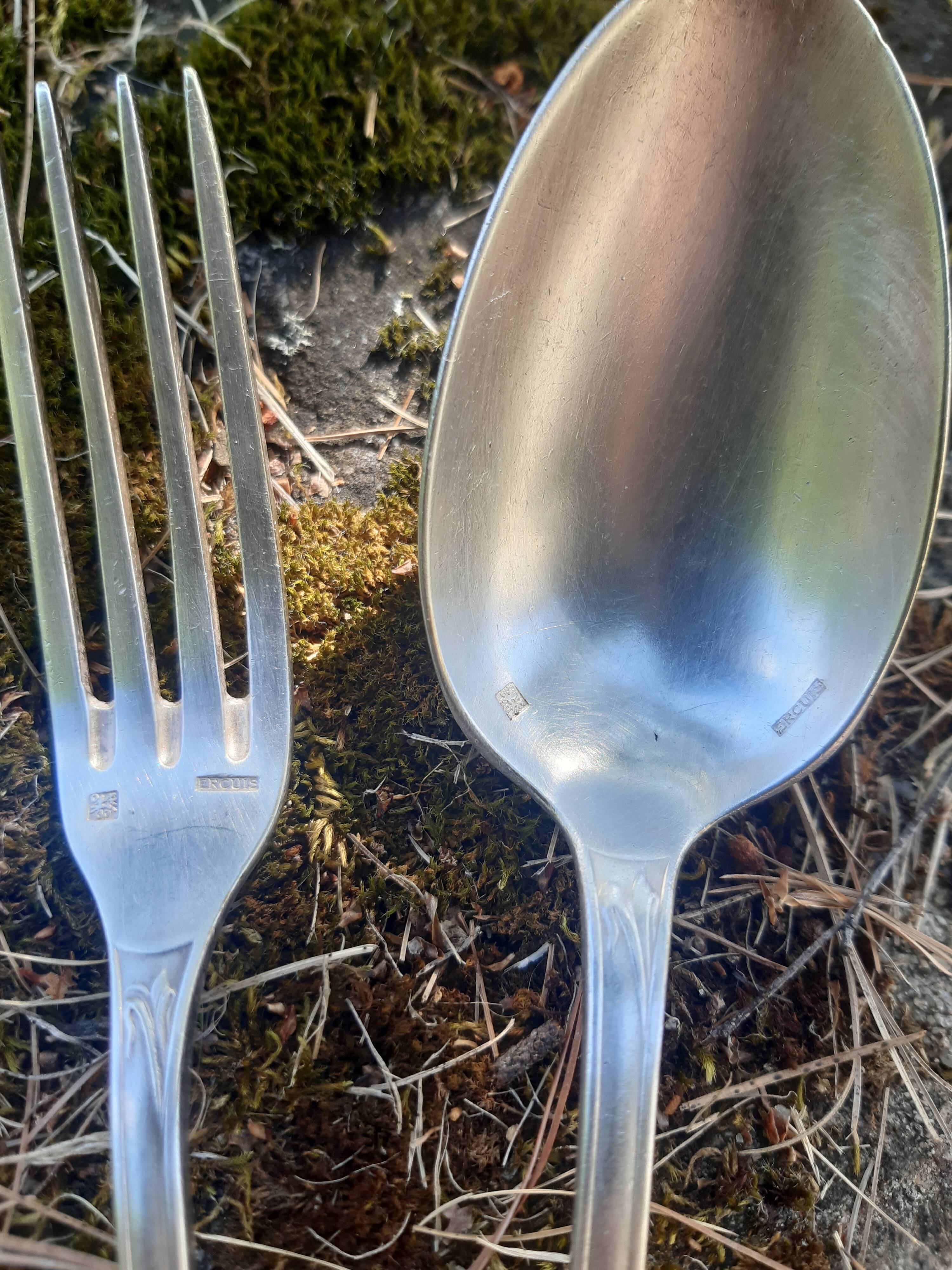 Ercuis silver cutlery