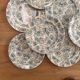 12 assiettes Terre de fer Longwy