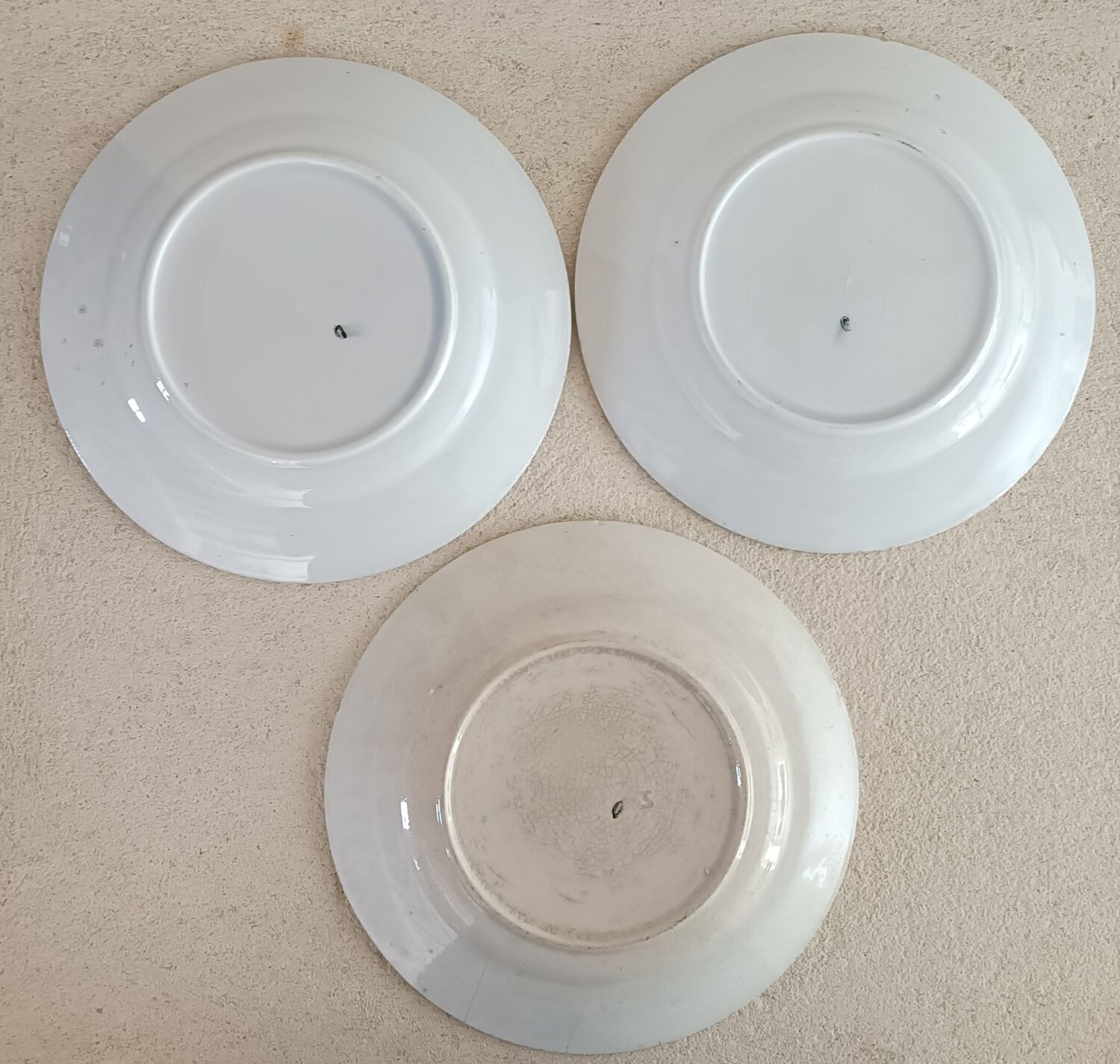 6 Saint Amand plates iris decor