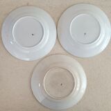 6 Saint Amand plates iris decor