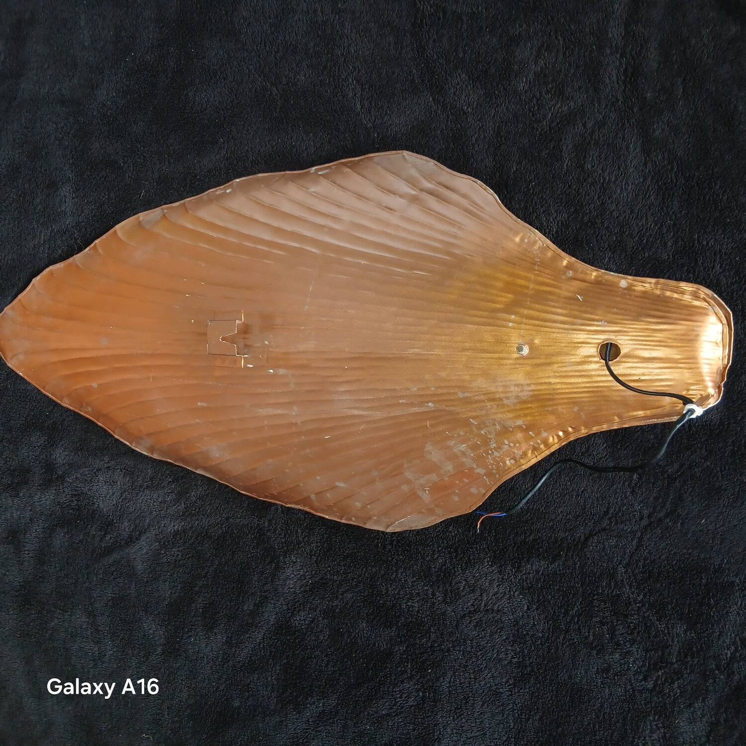 Huge shell art wall light