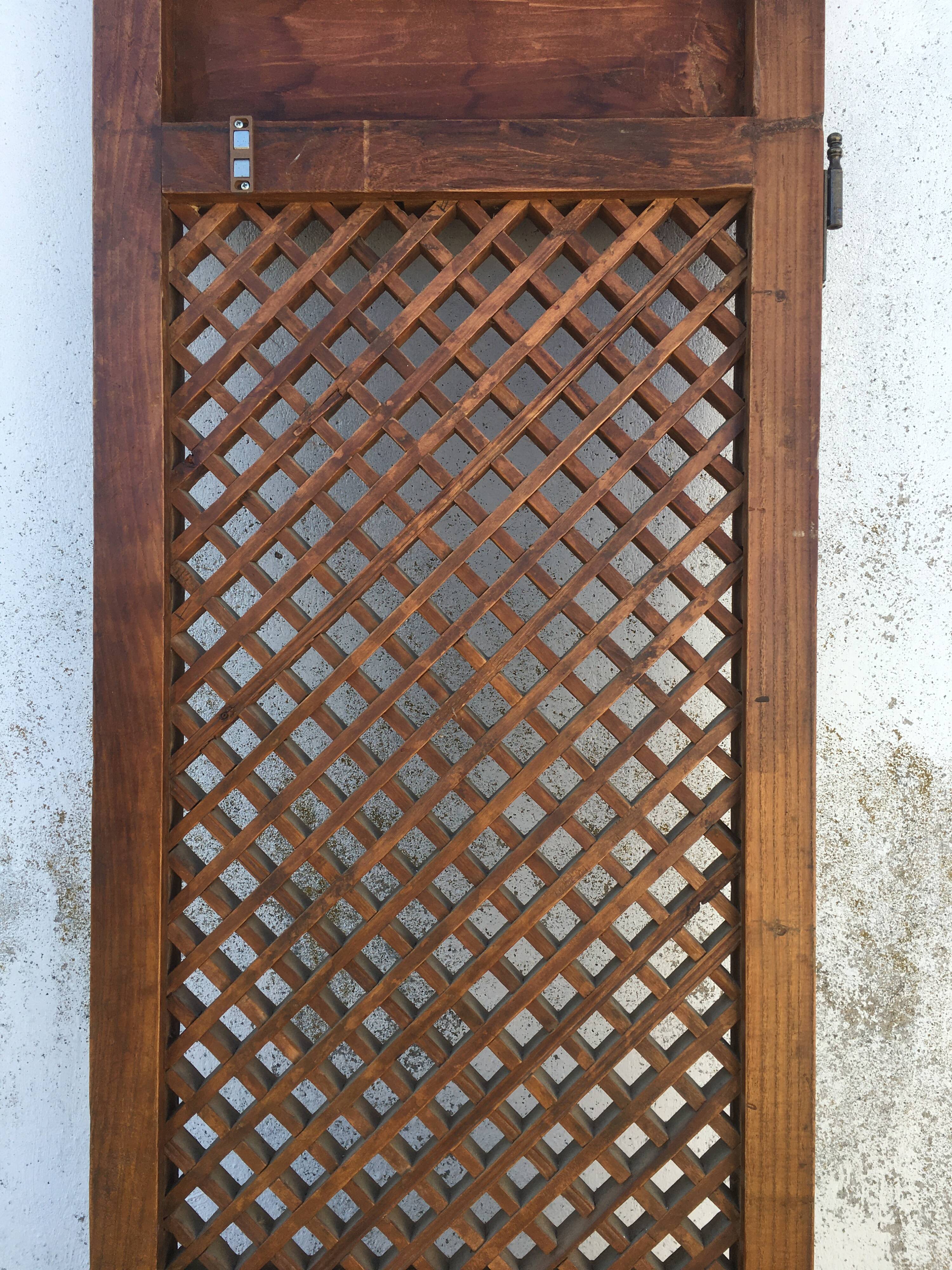 Indian teak door