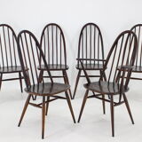 Set of 6 dining windsor chairs by Lucian Ercolani, italy, 1960