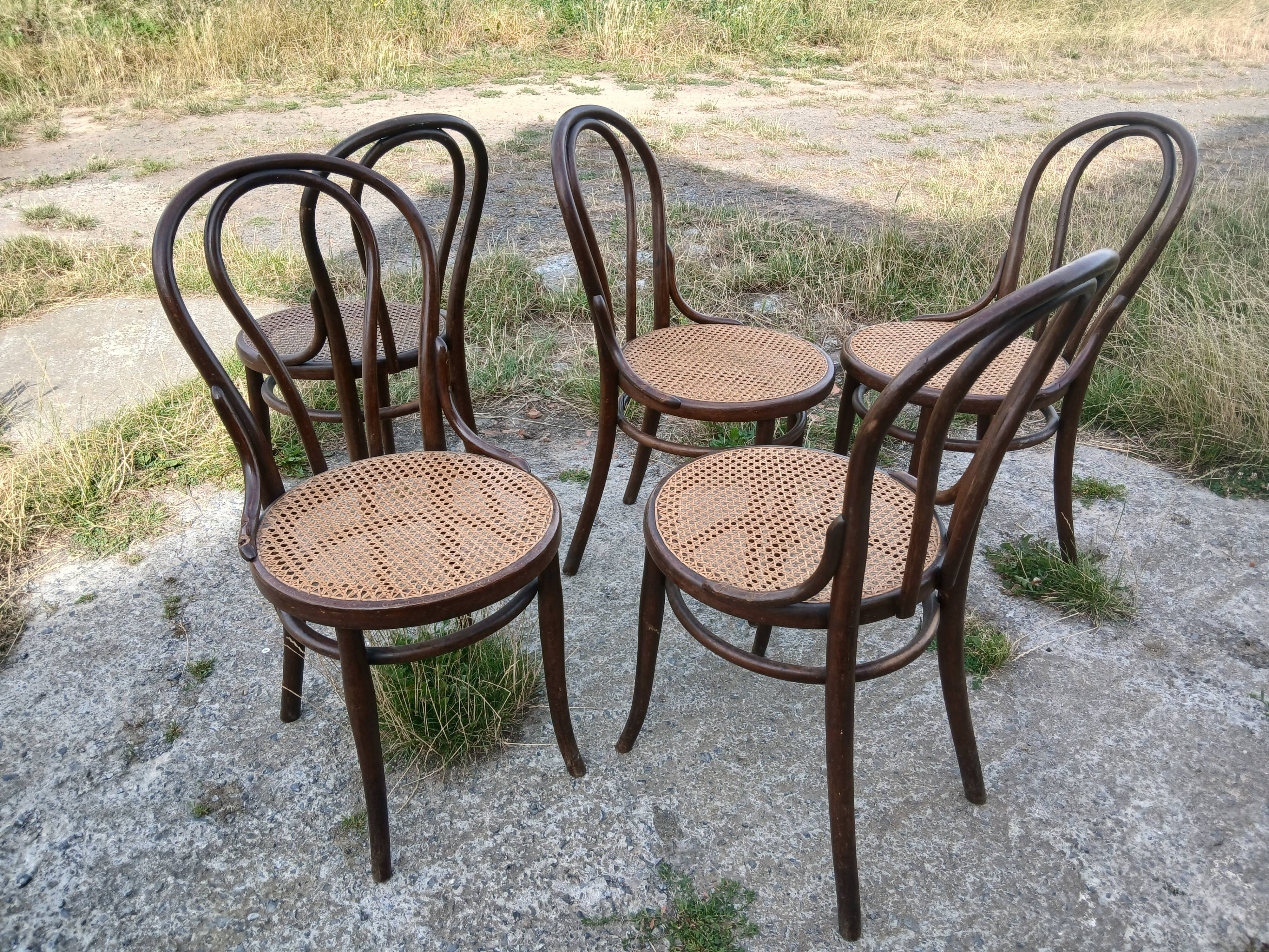 Chaises Thonet