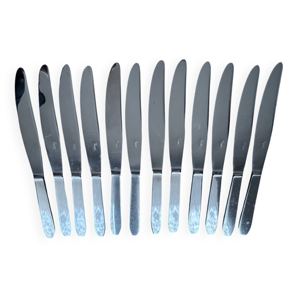 12 couteaux en métal inoxydable
