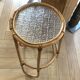 Sellette wears rattan plants