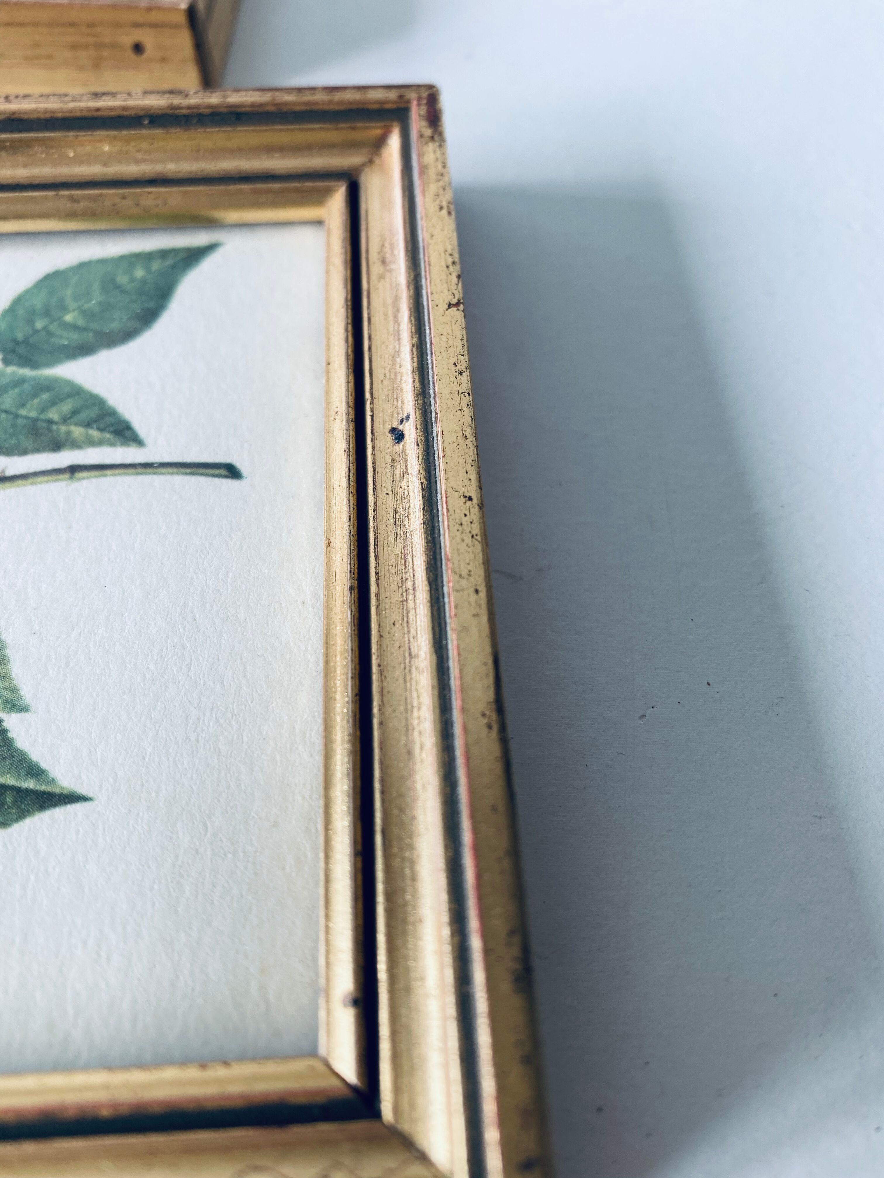 Duo of framed lithographs