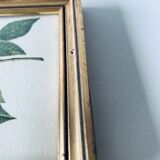 Duo of framed lithographs