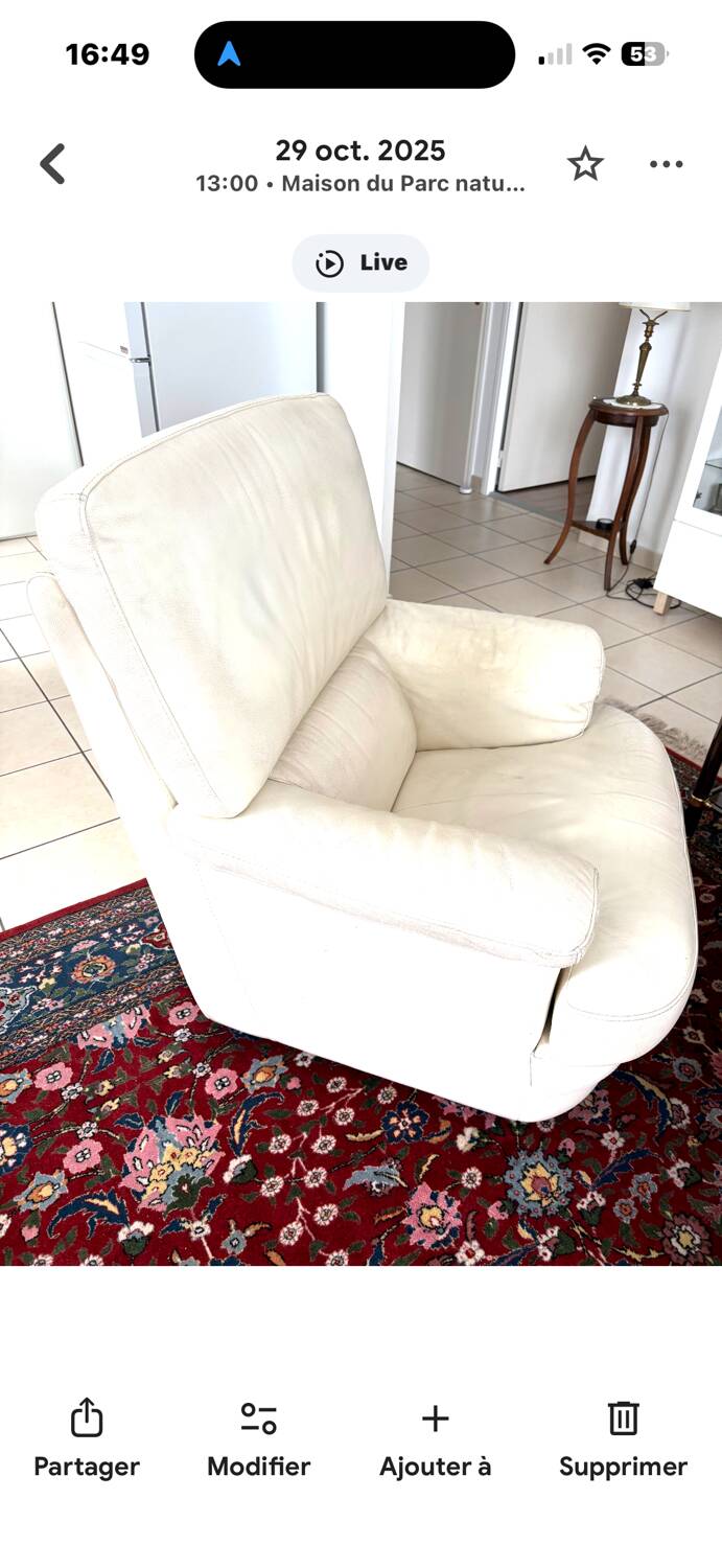 Leather armchairs
