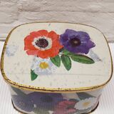 Iron box anemones