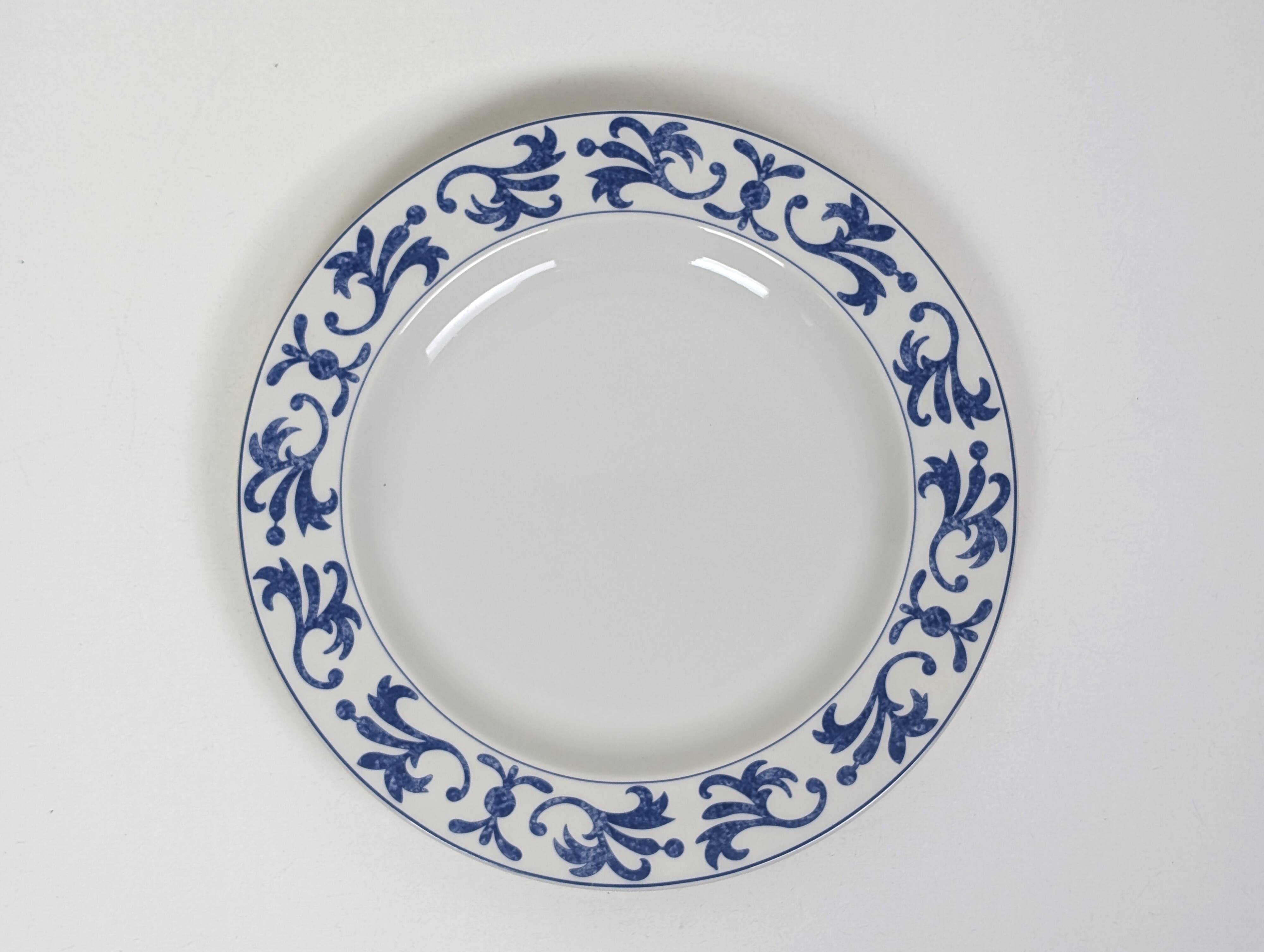 Set of 10 white and blue flat plates