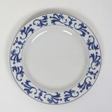 Set of 10 white and blue flat plates